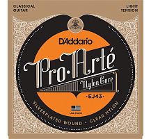 D`ADDARIO EJ43